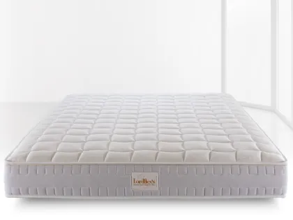 Materasso Aquasan di Lordflex’s