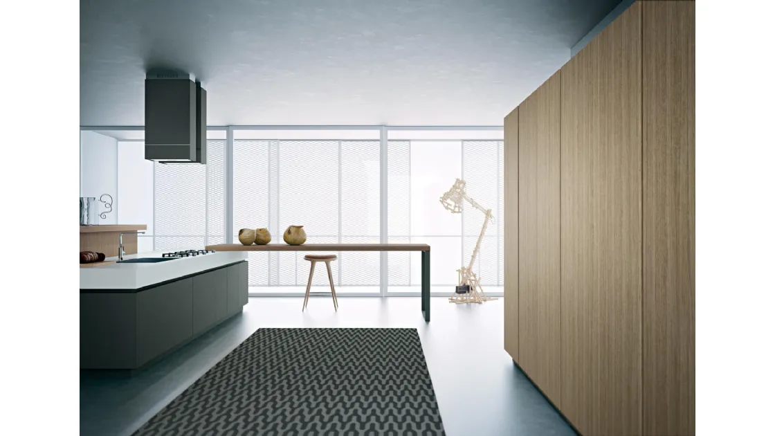 Cucina Moderna lineare Area 22 30 gradi 01 in laccato di Dibiesse